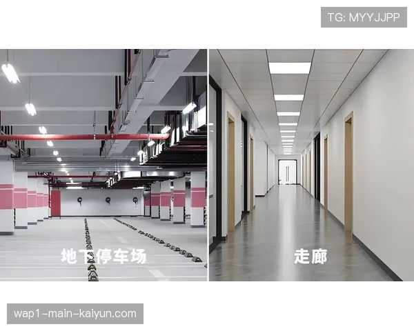 智能路灯根据人流调节亮度 场馆外围安全与节能兼顾